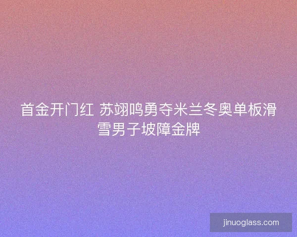 首金开门红 苏翊鸣勇夺米兰冬奥单板滑雪男子坡障金牌